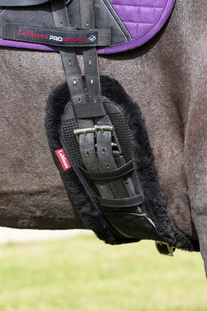 Sangle intégrée de dressage LeMieux noire en situation