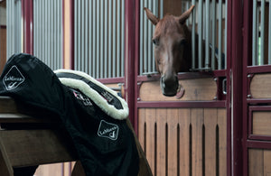 Sangle intégrée de dressage LeMieux noir et naturel sur le cheval