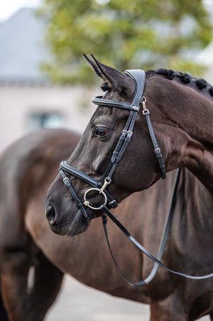 Bridon de travail LeMieux Kudos noir sur le cheval