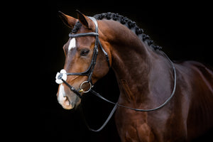 Bridon Grackle LeMieux Kudos noir sur le cheval