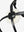 Bridon Grackle LeMieux Kudos noir détail des boucles