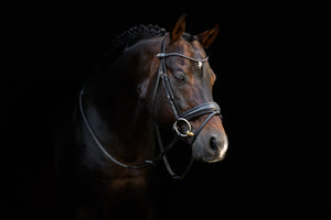 Bridon de dressage classique LeMieux Kudos noir en situation