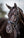 Bridon de dressage classique LeMieux Kudos noir sur le cheval