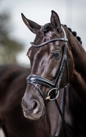 Bridon de dressage classique LeMieux Kudos noir sur le cheval