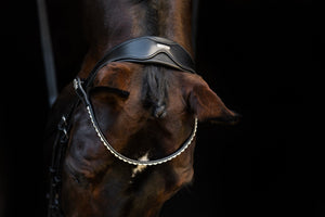 Bridon de dressage classique LeMieux Kudos noir vue rapprochée