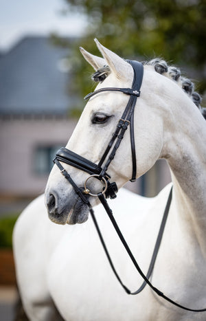 Bridon de dressage classique LeMieux Kudos noir monté