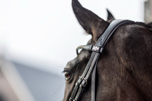 Bridon de dressage classique LeMieux Kudos noir à l'écurie