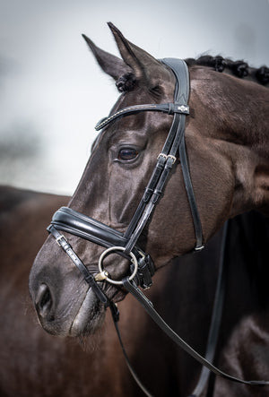 Bridon de dressage classique LeMieux Kudos noir en piste