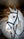 Bridon flash de concours LeMieux Kudos noir sur le cheval