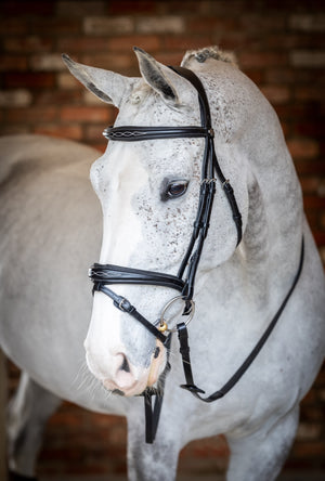 Bridon flash de concours LeMieux Kudos noir vue de profil