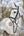 Bridon flash de concours LeMieux Kudos noir monté