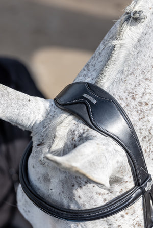 Bridon flash de concours LeMieux Kudos noir en piste