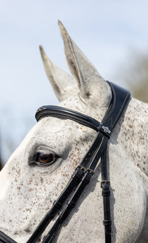 Bridon flash de concours LeMieux Kudos noir détail de la muserolle