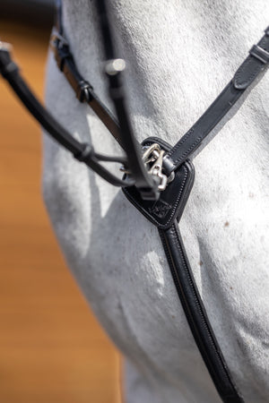 Collier de chasse LeMieux noir et argent en situation