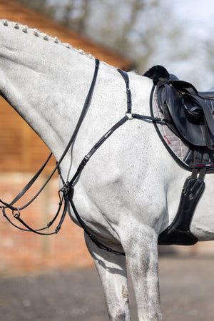 Collier de chasse LeMieux noir et argent sur le cheval