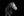 Bridon de travail LeMieux Kudos marron sur le cheval