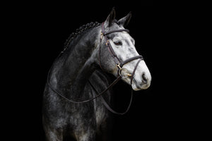 Bridon de travail LeMieux Kudos marron sur le cheval