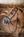 Bridon de travail LeMieux Kudos marron détail du frontal
