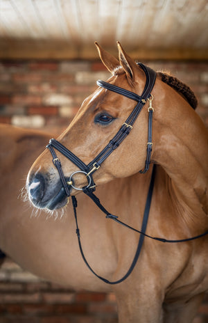 Bridon de travail LeMieux Kudos marron détail du frontal