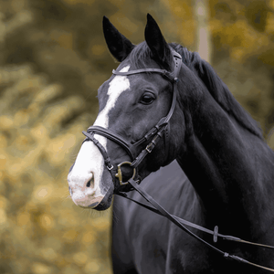  Mors Sprenger Dynamic RS Sensogan | Sellerie Bucéphale