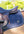 Woof Wear – Tapis de selle Herringbone Close Contact Woof Wear Navy 2 | Sellerie Bucéphale