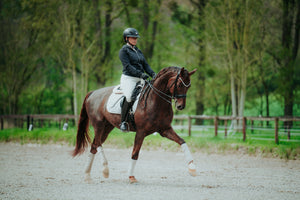 Κράνος ABUS Pikeur AirLuxe PURE με ζελατίνα Polo