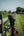 Casque AirDuo Abus Pikeur