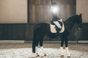 Veste de concours Pikeur Isalie Turnier, coloris smoky brown, en situation