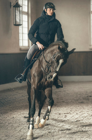 Veste matelassée homme Pikeur, coloris noir, en situation