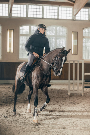 Veste matelassée homme Pikeur, coloris noir, en situation