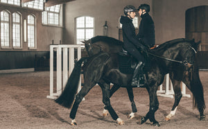 Pikeur QUILTED FLEXJACKET veste d'équitation, coloris noir, en situation