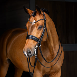 IT03550_lifestyle_kudosdoublebridle_black_100