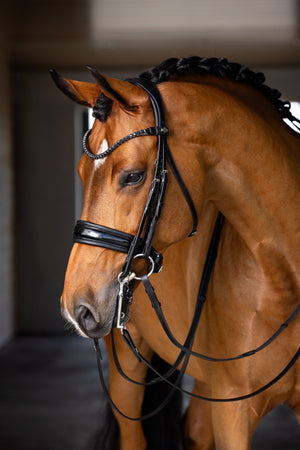 IT03550_lifestyle_kudosdoublebridle_black_2