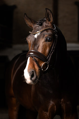 IT03551_lifestyle_patentdressagenoseband_brown_1