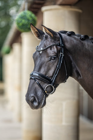 IT03552_lifestyle_kudospatentdressagebridle_black_1