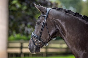 IT03552_lifestyle_kudospatentdressagebridle_black_5