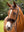IT03685_lifestyle_simuwoolnosebandcover_brown_1