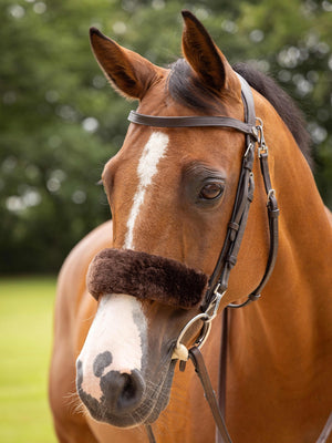 IT03685_lifestyle_simuwoolnosebandcover_brown_1