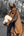 IT03686_lifestyle_simuwoolnosebandcover_natural_1