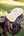 IT03702_lifestyle_simuwoolseatsaver_natural_2