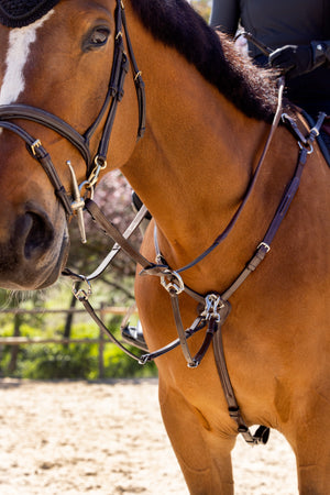 Collier de chasse LeMieux havane et laiton en situation