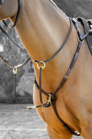 Collier de chasse LeMieux havane et laiton sur le cheval
