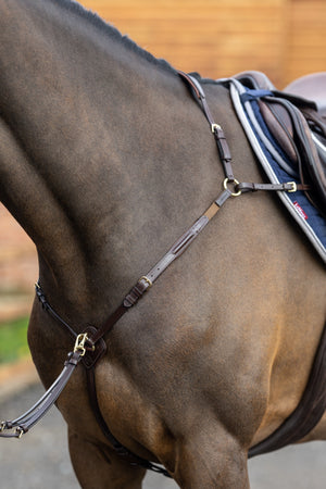 Collier de chasse LeMieux havane vue rapprochée