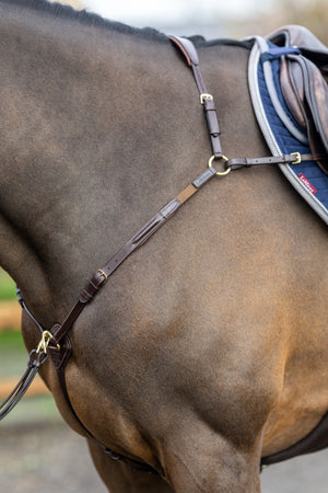 Collier de chasse LeMieux havane à l'écurie