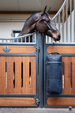 IT03770_lifestyle_probridlebag_black_1