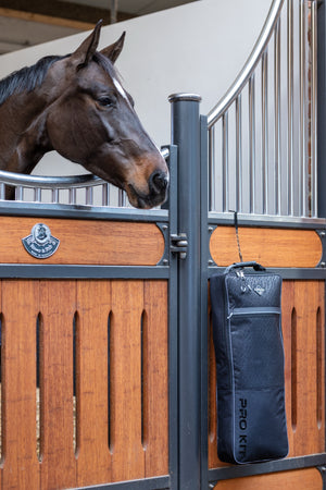 IT03770_lifestyle_probridlebag_black_2