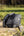IT03772_lifestyle_prohatbox_black_1
