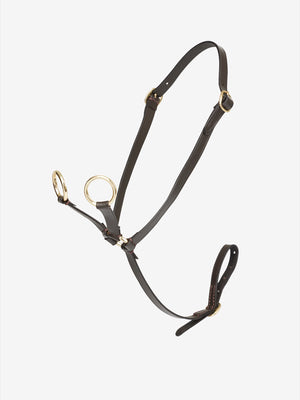 Martingale Toy Pony LeMieux marron