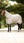 IT04128_lifestyle_arikaarmour-tekflyrug_stone_14