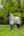 IT04128_lifestyle_arikaarmour-tekflyrug_stone_3